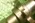 thumbnail-11