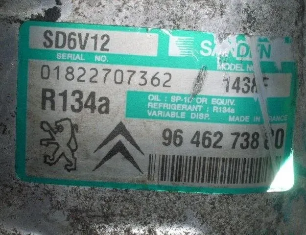 PEUGEOT 206 1 generation (1998-2009) Pompe de climatisation 1438,1439,1449,1450,6189509160,6453JL,6453JP,6453LF,81.10.40.013,811040013,8FK351134-331,8FK351134331,8FK351134-331,8FK351134331,9639078180,9646273380,9646273880,9655191580,TSP0155851,1430 24850193