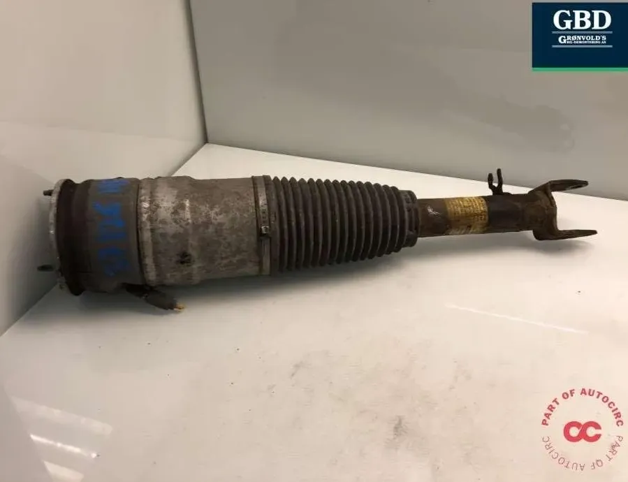 TESLA Model S 1 generation (2012-2024) Ressort de l'air 6006351-00-c 30882706
