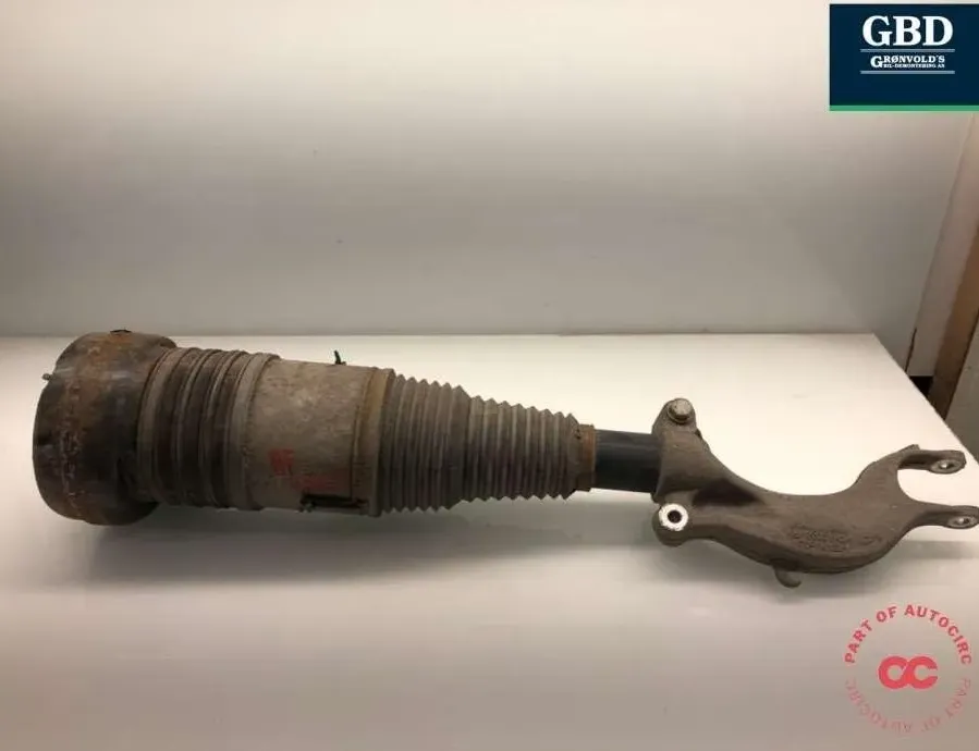 AUDI e-tron 1 generation (2018-2024) Ressort de l'air 4ke616039e,4ke616039g 31687053