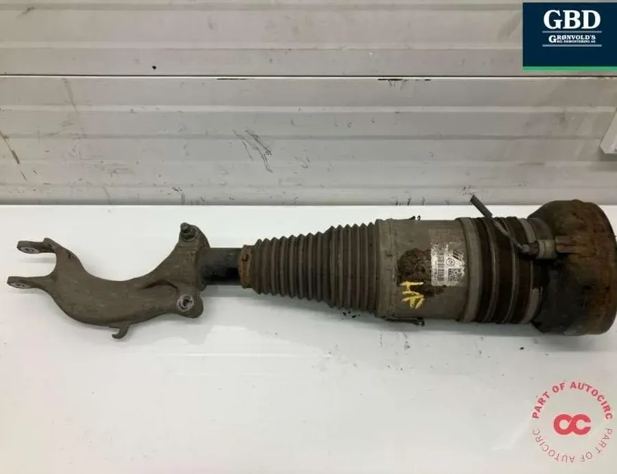 AUDI e-tron 1 generation (2018-2024) Ressort de l'air 4ke616039e,4ke616039g 31687177