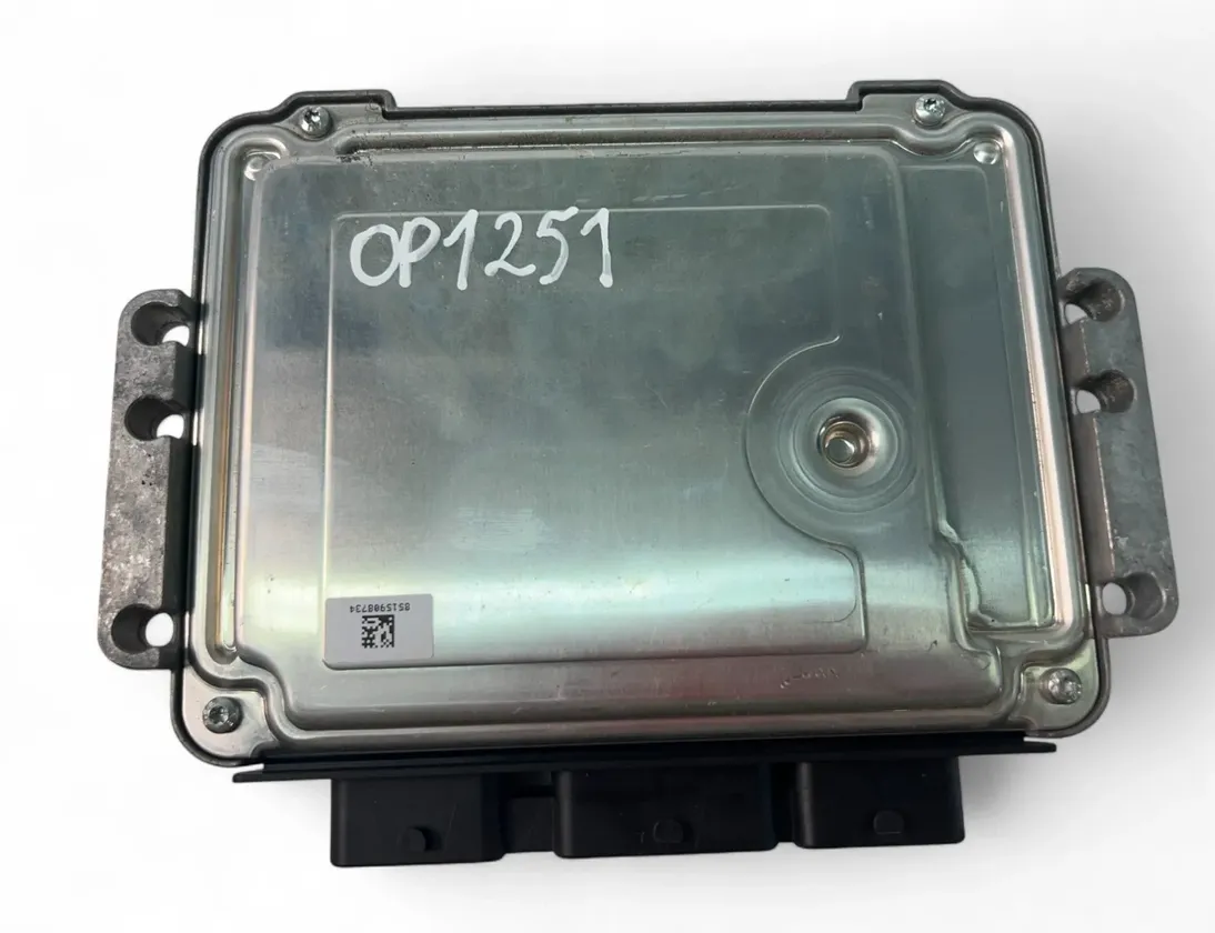 PEUGEOT 207 1 generation (2006-2009) Calculateur d'unité de commande du moteur 0281013334,9666986680 31412191