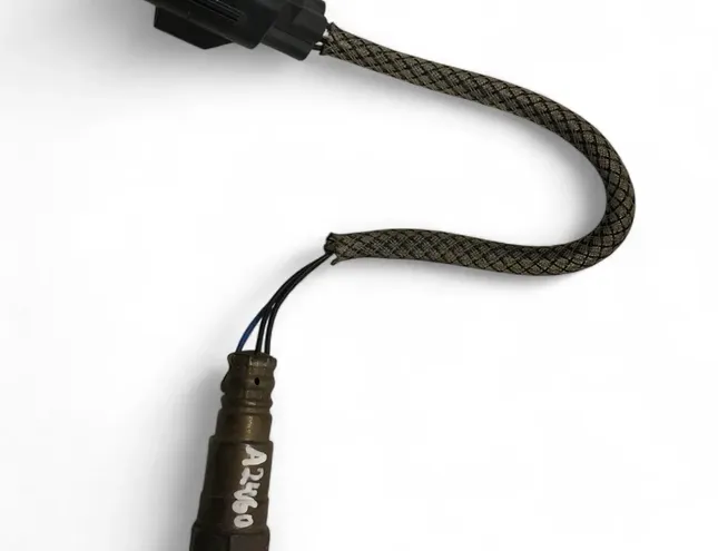 VOLVO V90 2 generation (2016-2024) Sonde à oxygène lambda 31480398 30089737