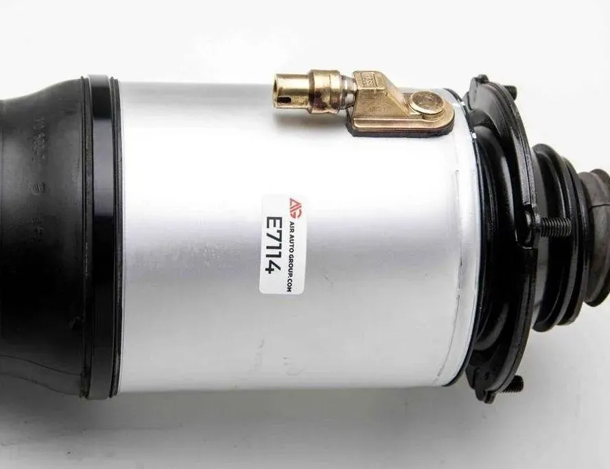 AUDI A8 D3/4E (2002-2010) Amortisseur pneumatique avant droit 4E0616039AB,4E0616039T,4E0616039AF,4E0616039AH,4E0616040AB,4E0616040T,4E0616040AF,4E0616040AH,AS-2776,45-241994,4E0616039AF,45-241994,4E0616039AB 30037927