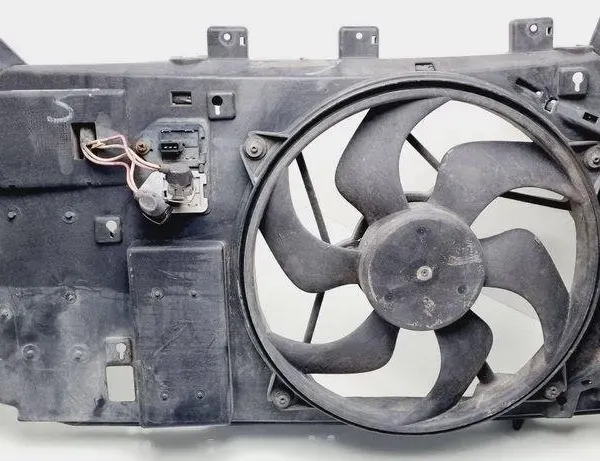CITROËN Xsara Picasso 1 generation (1999-2010) Radiateur de ventilateur de refroidissement du moteur 1831237016 31071391