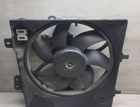 CITROËN C4 Cactus 1 generation (2014-2024) Radiateur de ventilateur de refroidissement du moteur FS2056 34976666