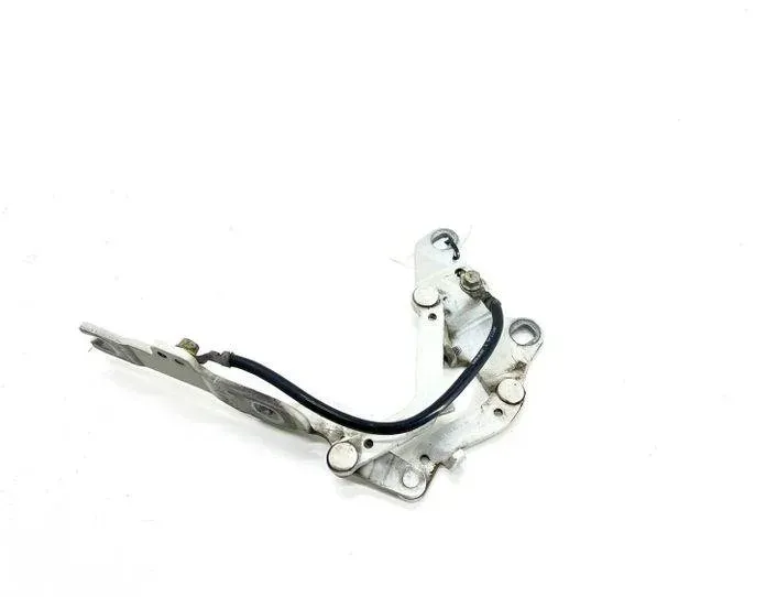 BMW 3 Series E90/E91/E92/E93 (2004-2013) Charnière De Capot Avant Gauche 7115263 24656955
