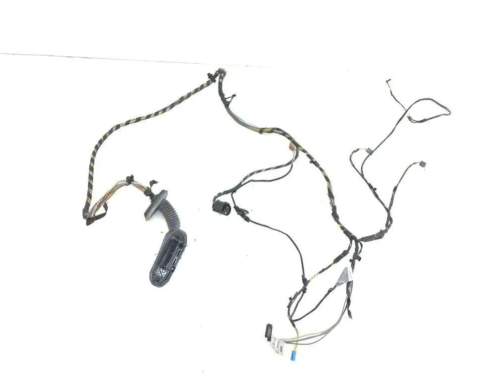 BMW X3 F25 (2010-2017) Câblage de porte arrière droite 7252538,14972610 31636408