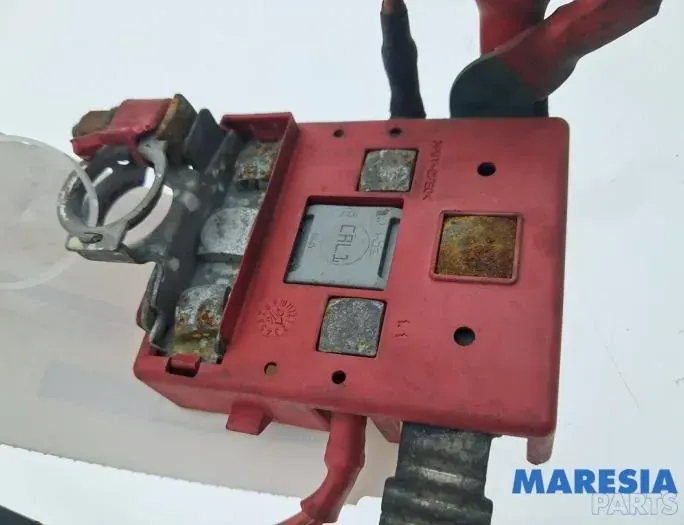 RENAULT Scenic 2 generation (2003-2010) Boîte à fusibles 8200381280,008200381280 34495458