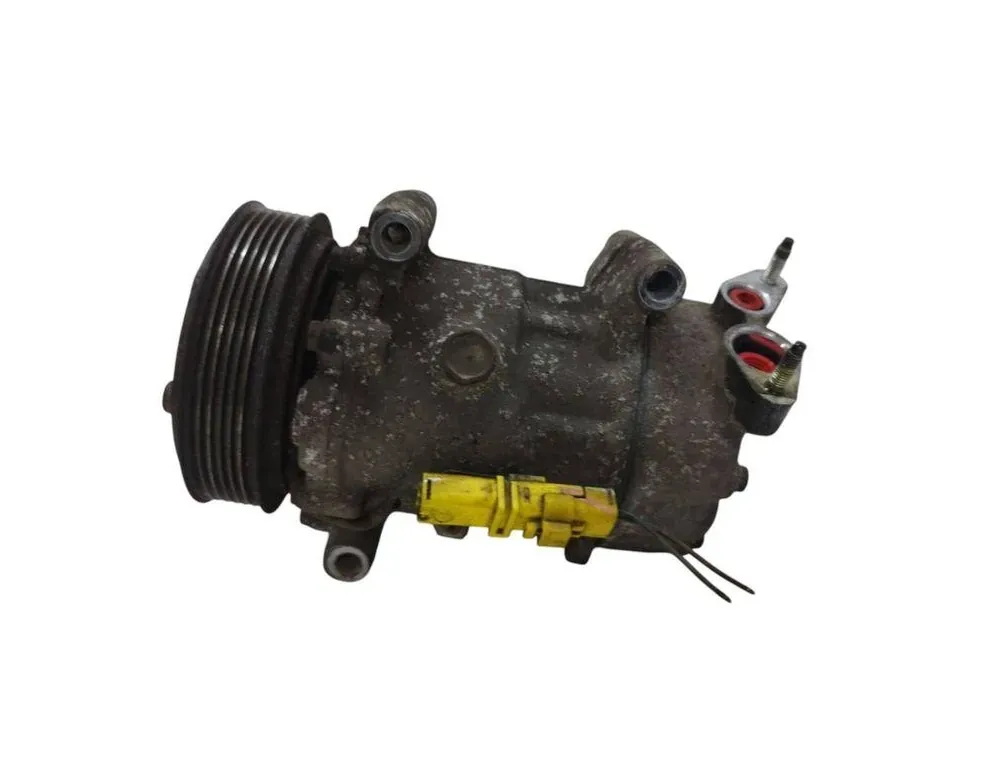 PEUGEOT 206 1 generation (1998-2009) Pompe de climatisation 1182611445 33941786