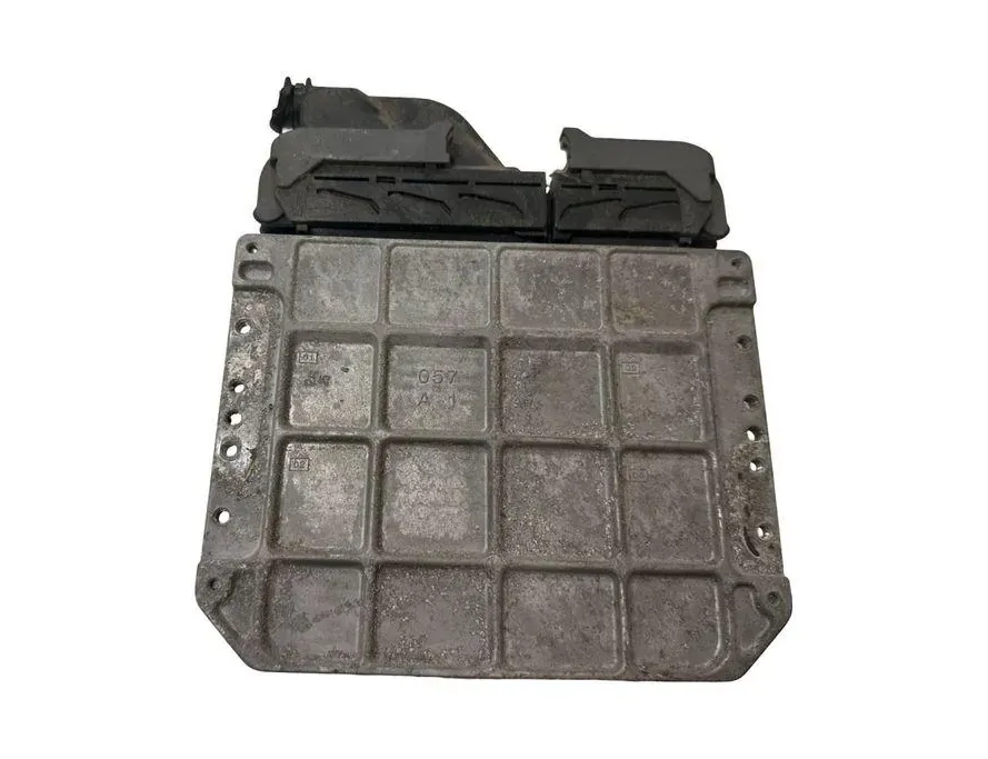 TOYOTA RAV4 3 generation (XA30) (2005-2012) Calculateur d'unité de commande du moteur 8966142C10 33236064