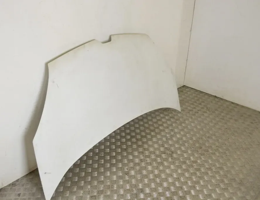 RENAULT Kangoo 2 generation (2007-2021) Bonnet 651329338R 35370552