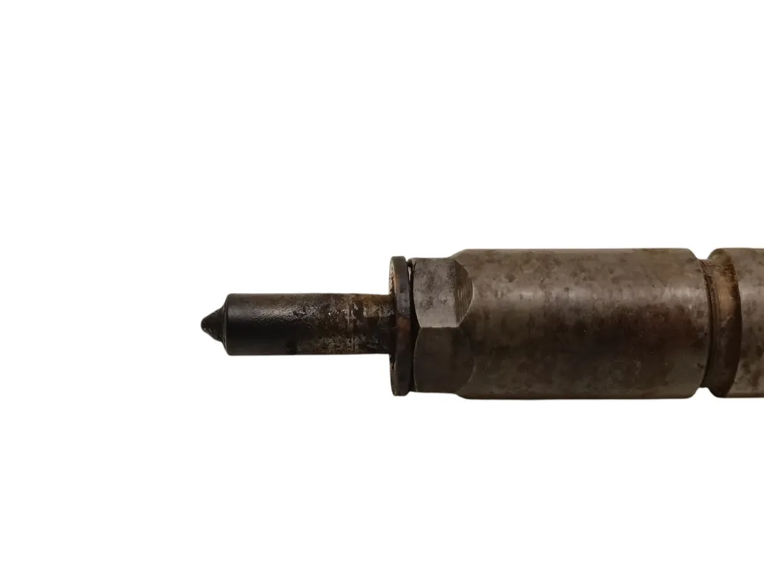 PEUGEOT 307 1 generation (2001-2008) Injecteur de carburant 0445110076 31361075