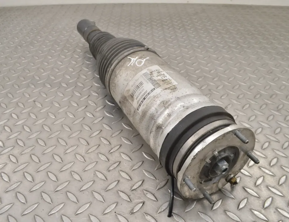LAND ROVER Range Rover Sport 2 generation (2013-2022) Amortisseur pneumatique avant gauche DPLA-3C286-BG 14946270