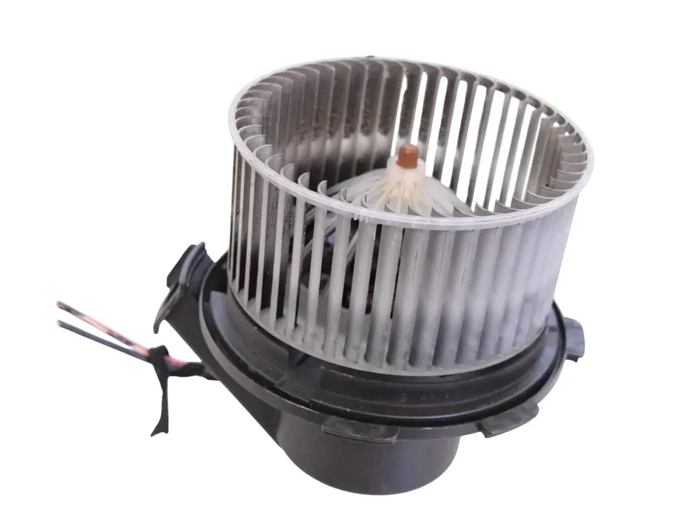 VOLKSWAGEN Crafter 1 generation (2006-2016) Ventilateur de chauffage E7169 26252790