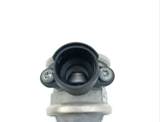 BENTLEY Bentayga 1 generation (2015-2024) Vanne EGR 079131101AC 33935585