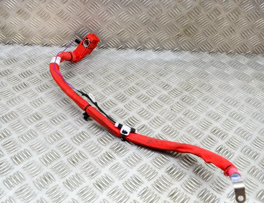 BMW X3 G01 (2017-2024) Câble de batterie positif 6839821,6839820 21574907