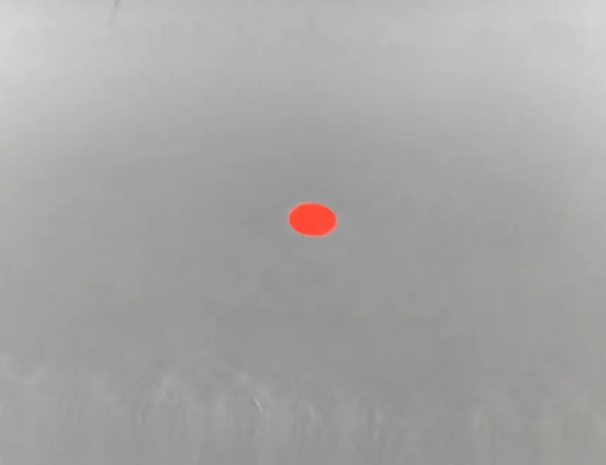 MERCEDES-BENZ E-Class W213/S213/C238/A238 (2016-2024) Porte arrière gauche A2137320110 28195955