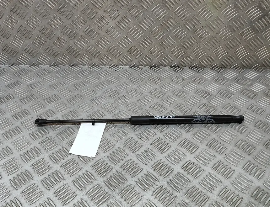 LEXUS RX 4 generation (2015-2024) Jambe de Force de Capot Avant Gauche 53440-0W480 28461826