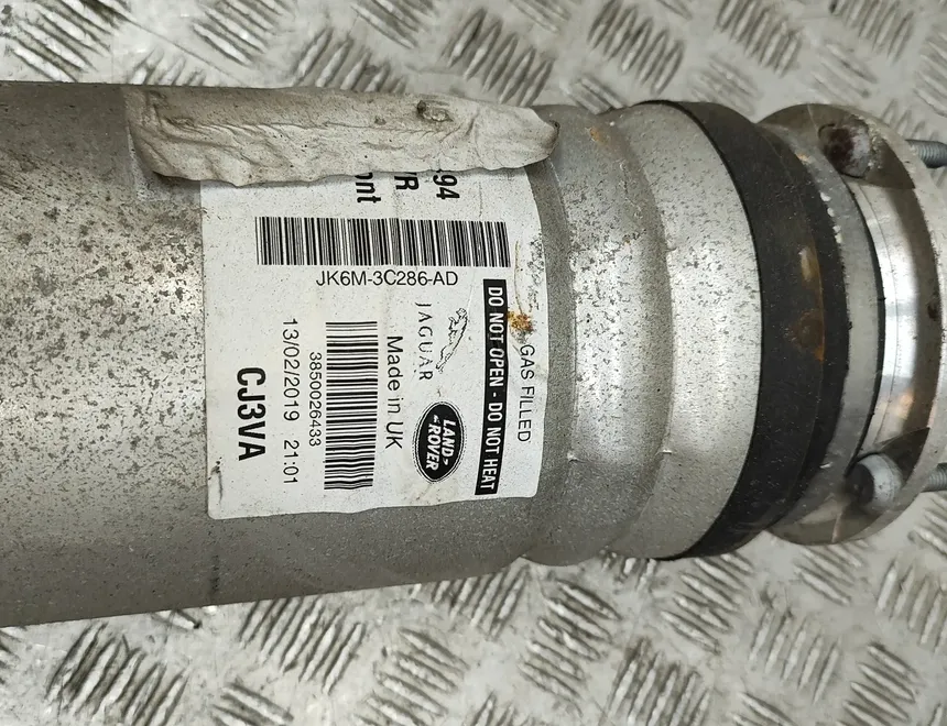 LAND ROVER Range Rover Sport 2 generation (2013-2022) Amortisseur pneumatique avant gauche JK6M-3C286-AD 30378164