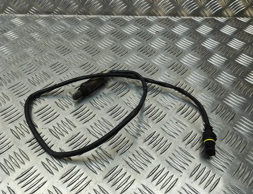 BMW Z4 E85 (2002-2009) Sonde à oxygène lambda 0258005177,1437586 33383820