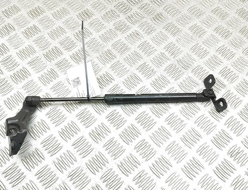 TESLA Model 3 1 generation (2017-2024) Jambe de Force de Capot Avant Droit 1091472-00-B 34961213
