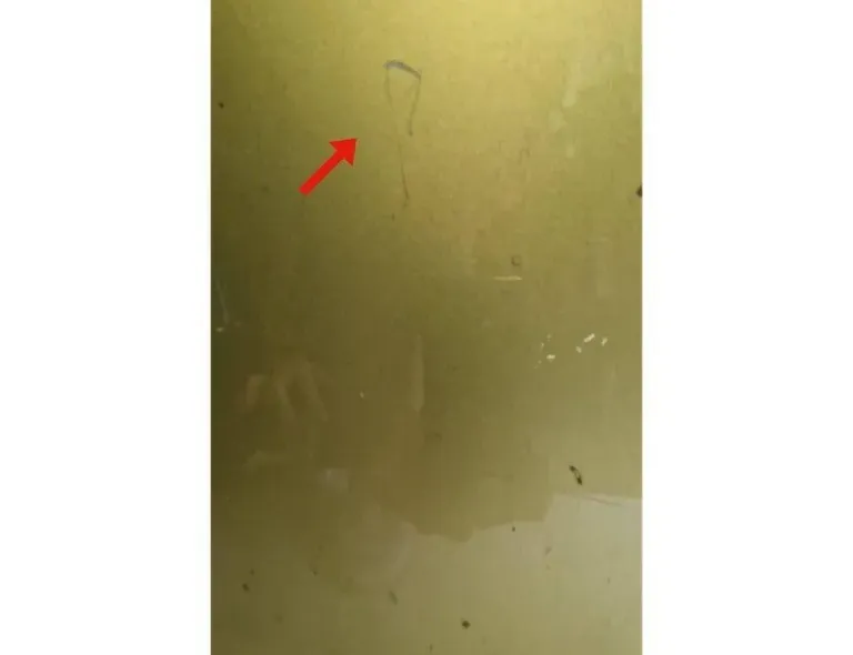 CITROËN C3 Picasso 1 generation (2008-2016) Bonnet 34685247