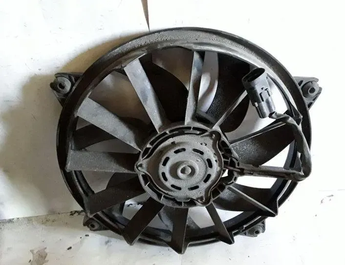 PEUGEOT 307 1 generation (2001-2008) Radiateur de ventilateur de refroidissement du moteur 874716T,874711E,9650116580 25469326