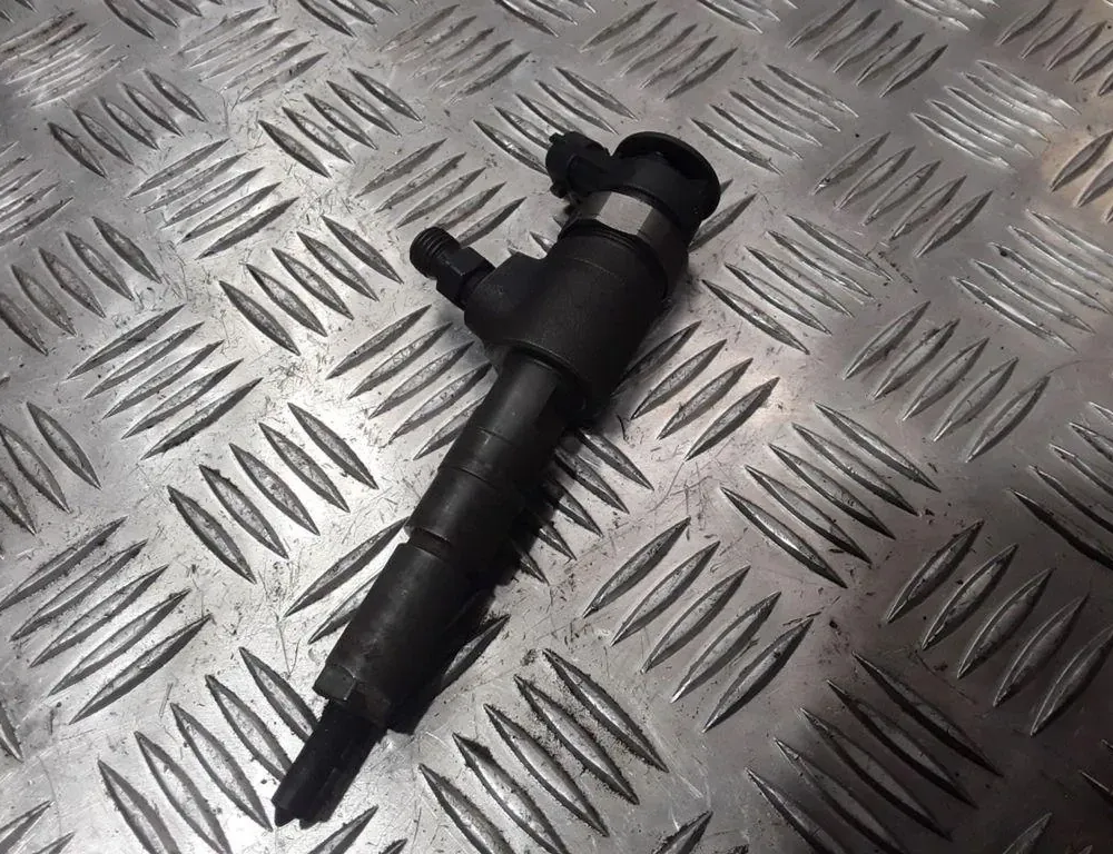 CITROËN C3 1 generation (2002-2010) Injecteur de carburant 0445110135 33832521