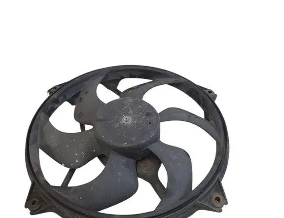 CITROËN Berlingo 1 generation (1996-2012) Radiateur de ventilateur de refroidissement du moteur 1831237016 32967273