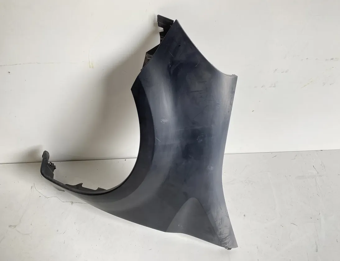 RENAULT Modus 1 generation (2004-2012) Garde-boue avant gauche 8200098309G 20689027