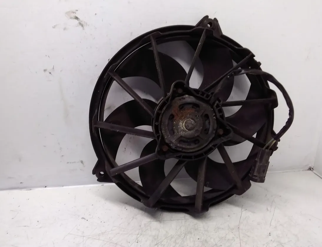 CITROËN C8 1 generation (2002-2014) Radiateur de ventilateur de refroidissement du moteur 1494742080 27579942