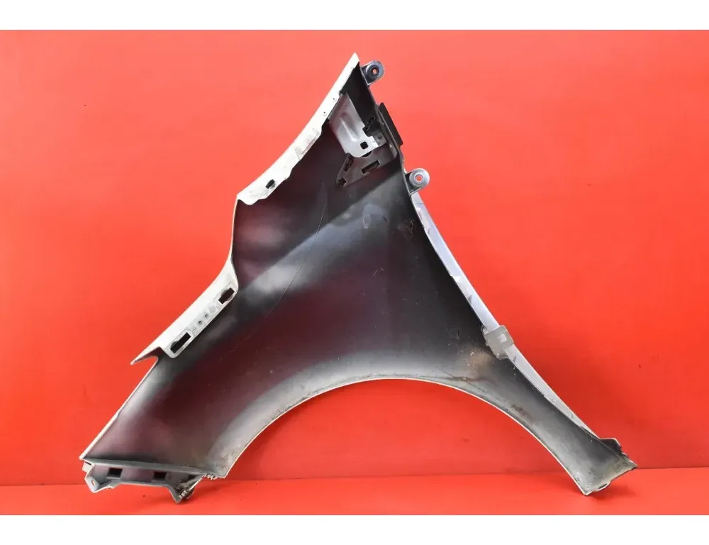 RENAULT Zoe 1 generation (2012-2023) Garde-boue avant droit 34846678
