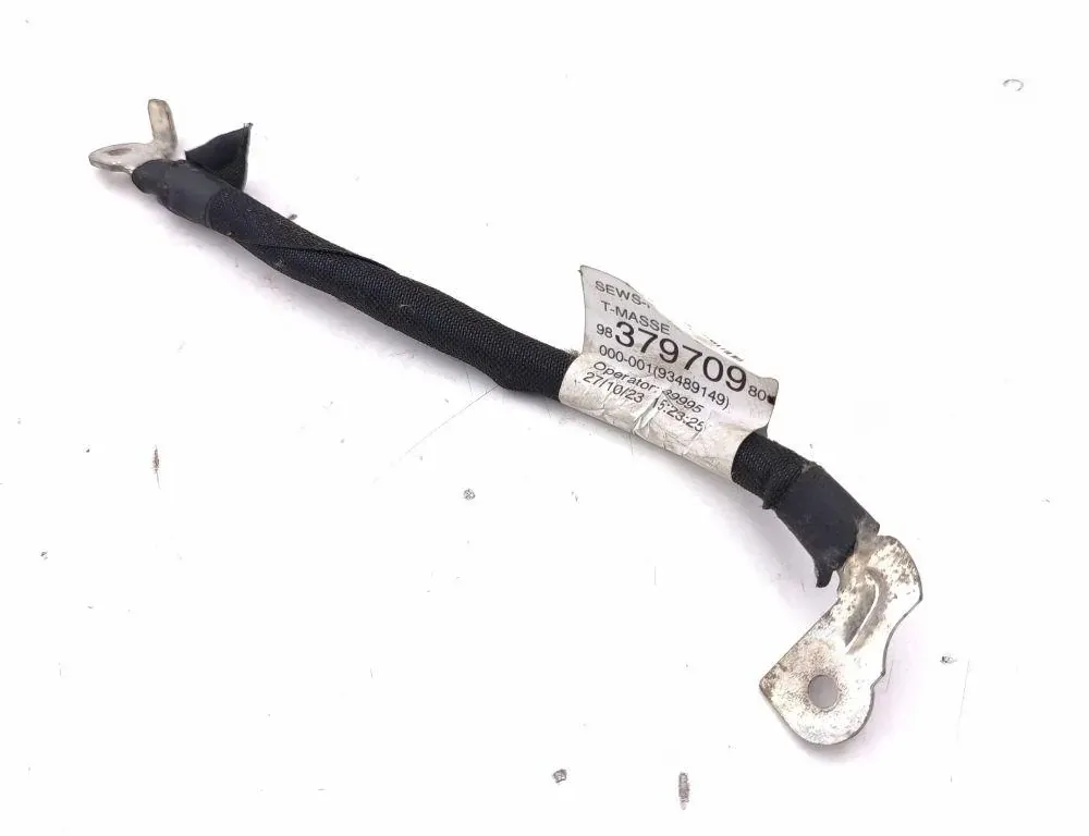 PEUGEOT 2008 2 generation (2019-2023) Câble de batterie négatif 9837970980 34816367
