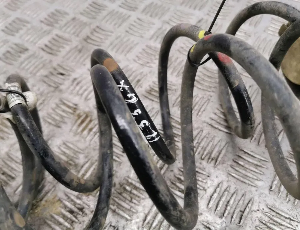 OPEL Astra L (2021-2023) Ressort hélicoïdal arrière gauche 34954329