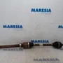 RENAULT Clio 4 generation (2012-2020) Arbre de transmission avant droit 391008834R,0391009101R,391009101R 26993661