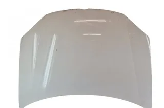 VOLKSWAGEN Golf 5 generation (2003-2009) Couvert de moteur 34496730