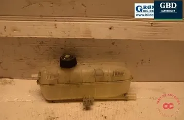 RENAULT Zoe 1 generation (2012-2023) Vase d'expansion 217101652r 30867682