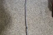 BMW 3 Series E46 (1997-2006) Câble de verrouillage de porte 8213797 33758805