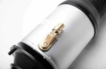 VOLKSWAGEN Phaeton 1 generation (2002-2016) Amortisseur pneumatique avant droit 3W5616040L,3D0616040AD,3W5616040L,3W5616040M,3D0616040AC,3D0616040AD,3D0616040,3D0616040T,3D0616040AB,3D0616040Q,3D0616040P,3D0616040AA,3W5616040M 30038272