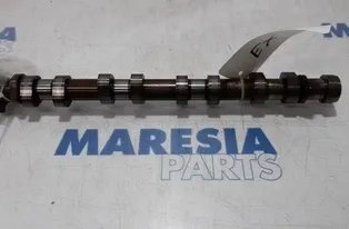 PEUGEOT 207 1 generation (2006-2009) Arbre à cames d'admission 0801FG0,0801FG 27827504