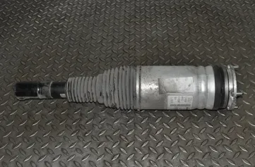 LAND ROVER Range Rover Sport 2 generation (2013-2022) Amortisseur pneumatique avant droit 22293602,DPLA-3C285-AF 11606104