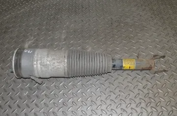 TESLA Model S 1 generation (2012-2024) Amortisseur pneumatique avant gauche 6006351-00-C 13895144