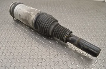 LAND ROVER Range Rover Sport 2 generation (2013-2022) Amortisseur pneumatique avant gauche DPLA-3C286-BG 14946270