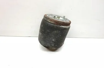 BMW X5 E53 (1999-2006) Coussin de suspension pneumatique arrière gauche 6750356 33703022