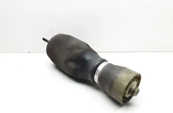 BMW X5 E53 (1999-2006) Coussin de suspension pneumatique arrière gauche 6750356 33703241