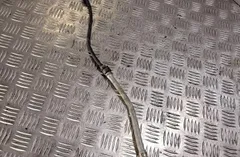 VOLKSWAGEN Passat B5 (1996-2005) Sonde à oxygène lambda 06F906262 33838206