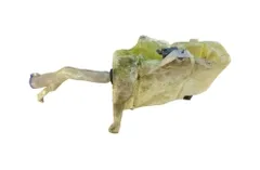 VOLVO C70 2 generation (2005-2013) Réservoir de lave-vitre 30899397 28789180