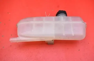 RENAULT Zoe 1 generation (2012-2023) Vase d'expansion 217101652R 34846654