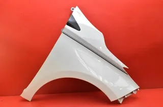 RENAULT Zoe 1 generation (2012-2023) Garde-boue avant droit 34846678